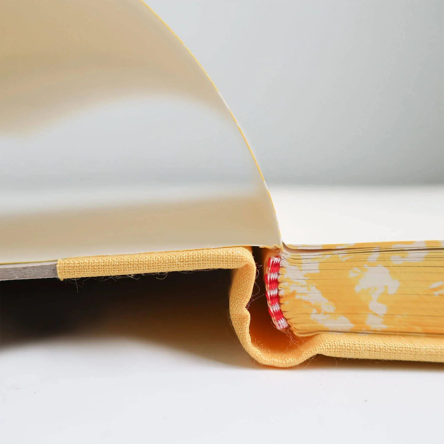 Cardboard Notebook with Band/ A4 (EMILIO BRAGA) - Image 13
