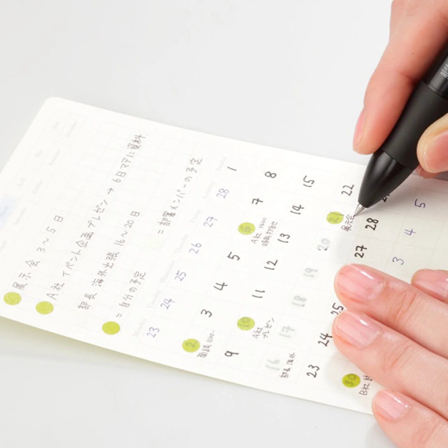 Removable Calendar Sticker M (STALOGY) - Image 2